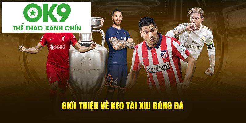 processed keo tai xiu bong da gioi thieu