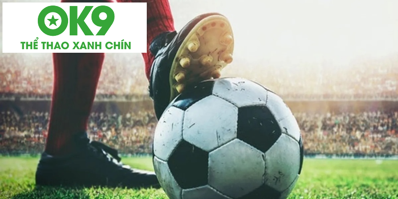 processed luat hiep phu la gi thoi gian