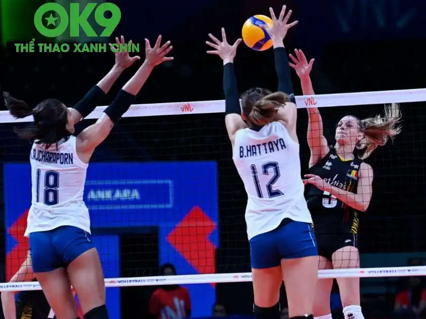 nh tt247 4 68411d50d0822